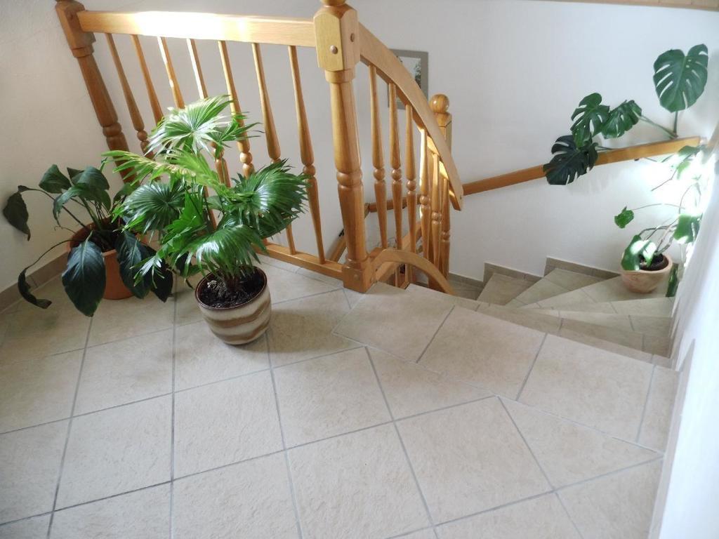 Ferienwohnung-Mund Dresden Luaran gambar